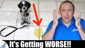 The BIGGEST Mistake People Make With Puppy House Training