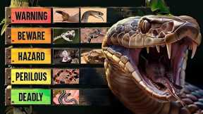 The Deadliest Snakes on Earth: Nature’s Most Lethal Predators