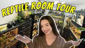 REPTILE ROOM TOUR - Snakes, Lizards, Spiders & More!