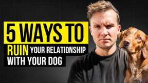 5 Things ALL Dog Owners Do To Ruin Their Dog- Dog Training Video