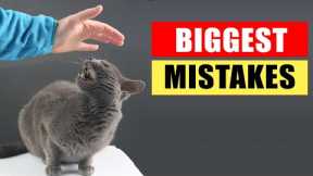 20 Common Mistakes Cat Owners Make