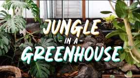 Turning Our Greenhouse Into a Jungle!