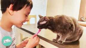 Boy Couldn't Make Friends Until He Met This Cat | Cuddle Buddies