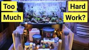 Watch This Before You Get A Saltwater Aquarium | FULL Maintenance Rundown