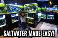 Saltwater Aquariums Are EASY: Guide