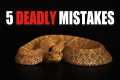 FIVE MISTAKES Venomous Snake Keepers