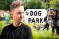 5 Major reasons why dog parks are