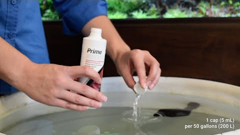 Seachem Prime® - the most concentrated water conditioner on the market!