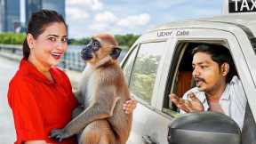 I Tested Pet Friendly Ubers with Exotic Animals !