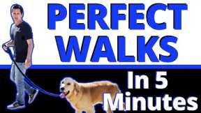 This ONE Change will Improve your Walks Guaranteed - 99% of People are getting this Wrong.