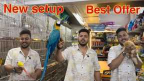 New offer video wajid exotic pets jogeshwari mumbai  #birds #exotic #mumbai