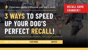 3 ways to speed up your dog’s recall!!!