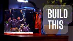 How to Set up a Saltwater Aquarium!