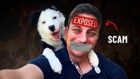 Zak George: Dog training's BIGGEST fraud