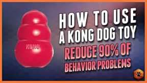 The Surprising Way Kong Toys Can CHANGE Your Dog's Life