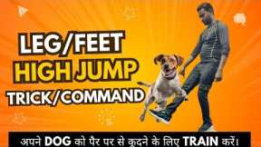 Advance Dog Training: How to train your Dog Leg/Feet Jump trick (Dog training in Hindi)