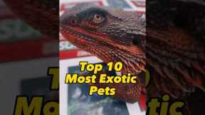 Exotic Animals / Top 10 Exotic Pets #pets #animals #shorts