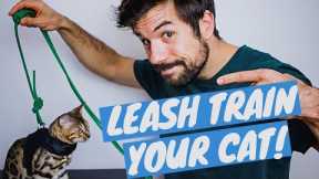 TRAIN YOUR CAT TO WALK ON A LEASH Using Positive Reinforcement - TUTORIAL