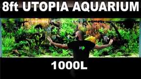 The 8ft Utopia Aquarium: EPIC 1000L Build over 300 Fish (Aquascape Tutorial)