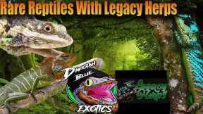 Youve Never Heard Of These Reptiles Before! Talking Rare Reptiles With Legacy Herps