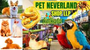 Pet Neverland Shop LLP | Exotic Pets In kolkata | dog market in kolkata price | Exotic Birds