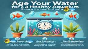 AGE YOUR WATER TO PREVENT AQUARIUM FISH FROM STRESS AND DYING