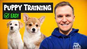 Puppy TRAINING - The FIRST 3 Things To Teach Any Puppy!