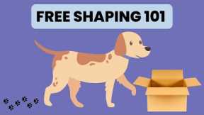 101 Things to do with a Box Dog Training | Example of Shaping in Dog Training