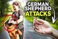 Aggressive German Shepherd Attacks