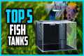 ✅Top 5 Best Fish Tanks for Beginners