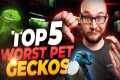 The 5 WORST Pet Geckos and 5 BETTER