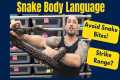 How to Read Snake Body Language and