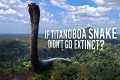 What If Titanoboa Snake Didn't Go