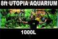 The 8ft Utopia Aquarium: EPIC 1000L 