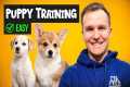 Puppy TRAINING - The FIRST 3 Things