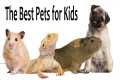 The Best Pets For Kids