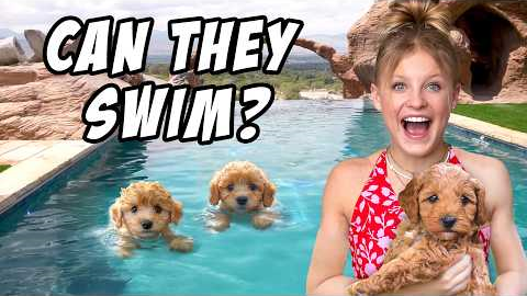 Teaching My PUPPIES To SWIM for the First Time!