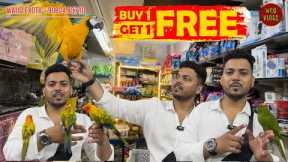 Buy one get one free offer wajid exotic pets jogeshwari #birds #exotic #mumbai