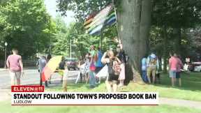 Local groups take a stand following proposed book ban in Ludlow