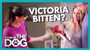 Can 'Vicious' Family Dog Really be Tamed? | It's Me or the Dog