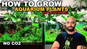 DON'T START A PLANTED TANK WITHOUT WATCHING THIS! (Everything I Have Learnt in 6 Years)