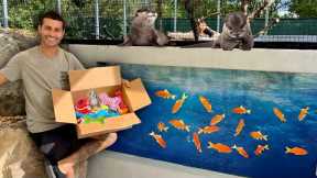 SURPRISING MY BABY OTTERS WITH GIFTS! *CUTE*