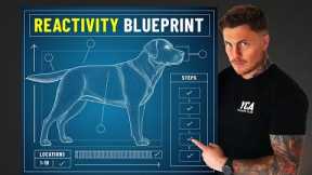 If I had a reactive dog in 2024, this is what I’d do (FULL BLUEPRINT)