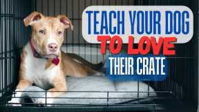 Teach Your Dog to Love Thier Crate