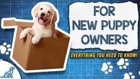 The PERFECT Puppy Training Blueprint