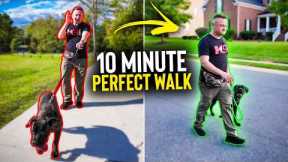 Stop Leash Pulling in Under 10 Minutes!