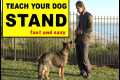 Teach Your Dog to STAND - Dog