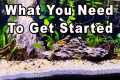 Beginners Guide to The Aquarium Hobby 