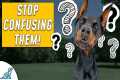 Dog Training Advice You Didn't Know