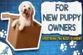 The PERFECT Puppy Training Blueprint